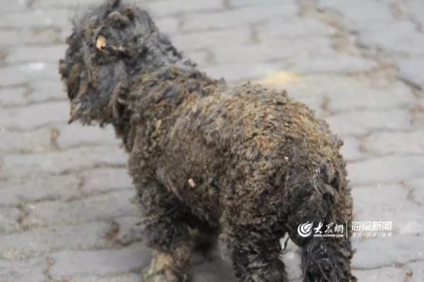 突發(fā)！青島一居民樓發(fā)生爆燃！已造1人死亡，7人受傷！3公里外有震感…